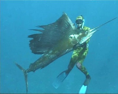 pacific_sailfish.jpg