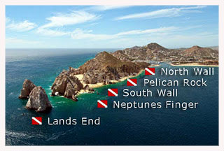 cabo-san-lucas-dive-map_web.jpg