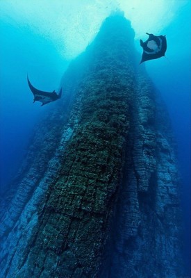 Socorro-Island-Mexico.jpg