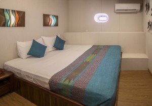 CD_Standard-Cabin-Double-bed-300x211.jpg