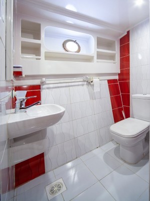 11Dominator Bathroom small.jpg