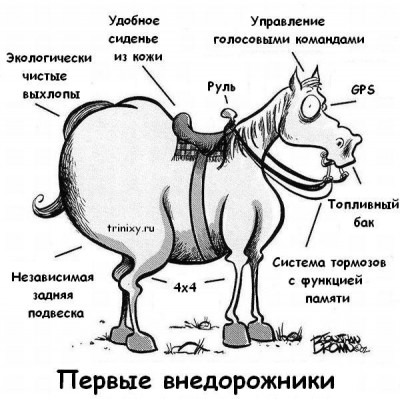 жжип.jpg