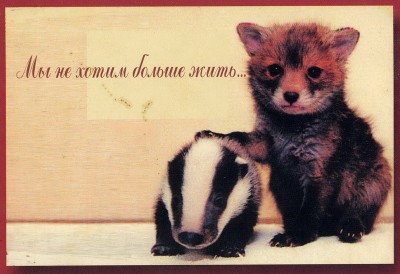 File0002_измен.размер.jpg
