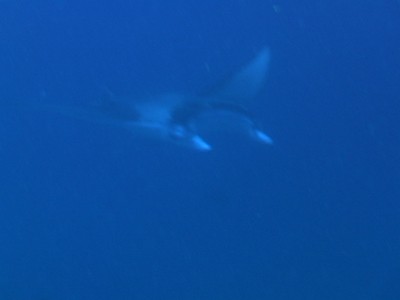 IMGA0381.JPG