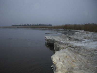 CIMG8379.jpg