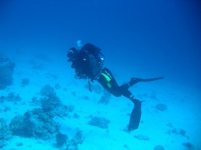 r1.jpg