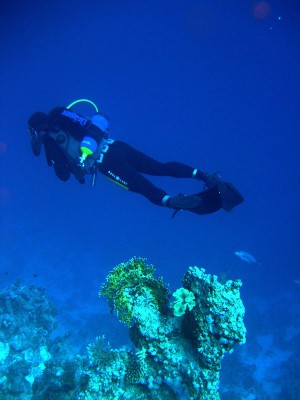 r6.jpg
