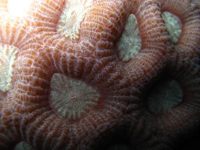 IMG_2663--.JPG