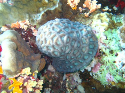 IMG_2648--.JPG
