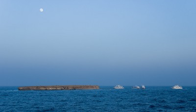 SB 08.jpg