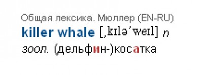 Killer_Whale.jpg