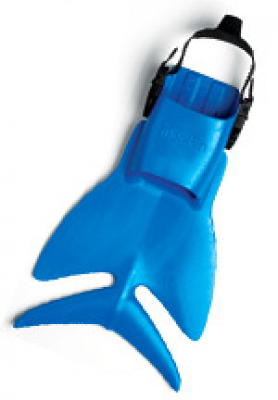 cool_fins.png