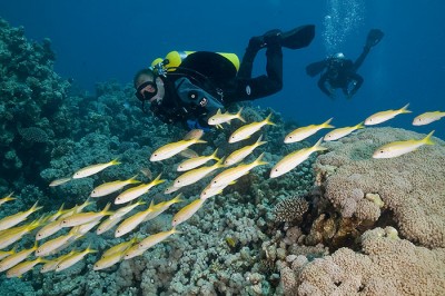 GUE divers.jpg