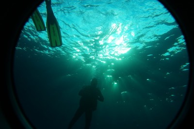 DSC_0230.jpg
