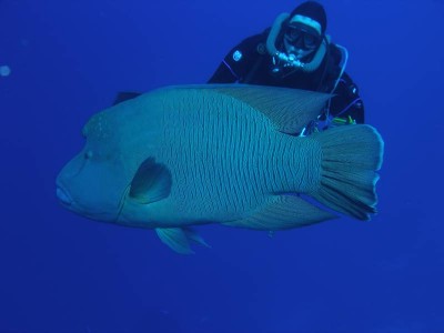 PB120037.jpg