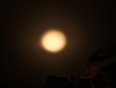 IMG_8084.JPG