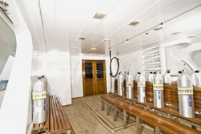 dive deck02.jpg
