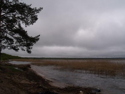 Вид (править).jpg