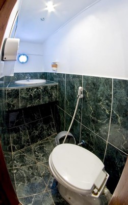 Vip toilet-01.jpg