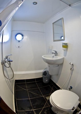 Standart toilet-01.jpg