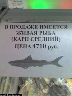 9014.jpg