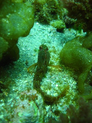 IMG_1678.jpg