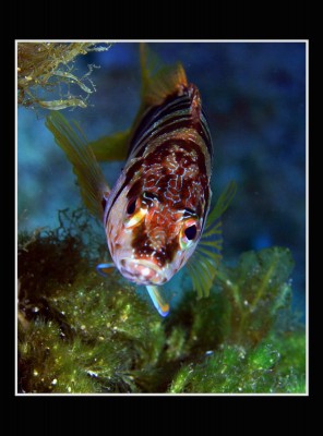 IMG_0048.JPG