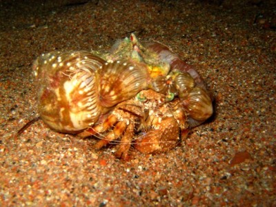 IMG_8157--.JPG