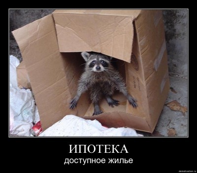 t_enot_148.jpg
