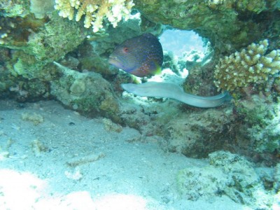IMG_1020.JPG