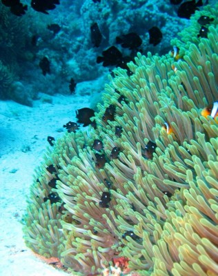 IMG_7196.JPG