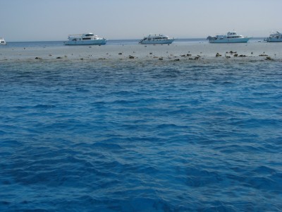 IMG_2926.jpg