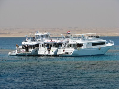 IMG_2513.jpg
