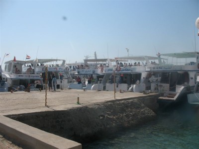 IMG_1678.jpg
