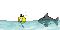 diver.gif