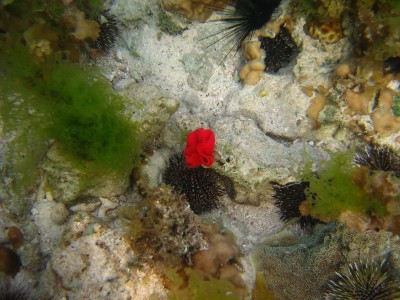 IMG_0393.JPG