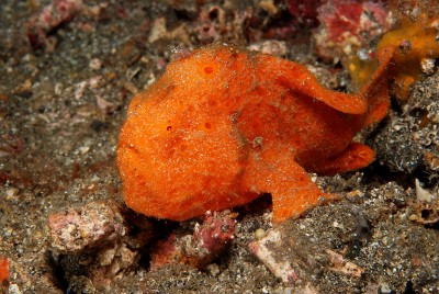DSC_0066нн.jpg