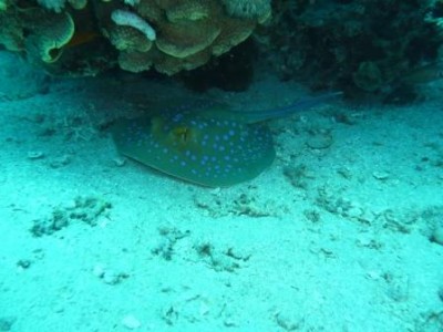 P1020152.jpg