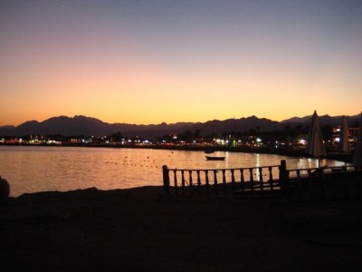 IMG_3025--.jpg
