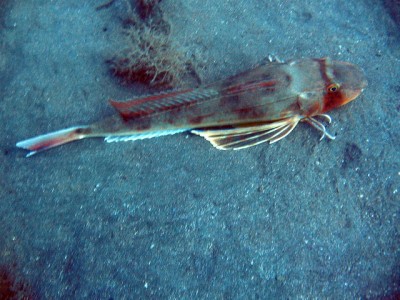 IMG_2948.JPG