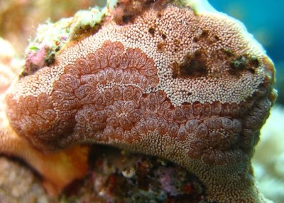 0_108e9_975f6fce_XL.jpg