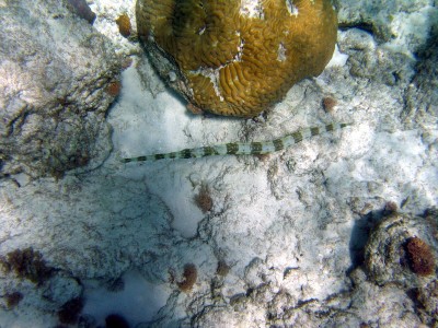 IMG_8600.jpg