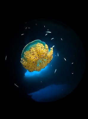 0-blue hole.jpeg