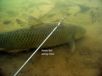 PB061900.jpg