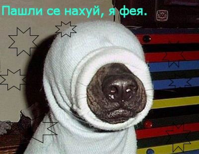 ya_feya.jpg