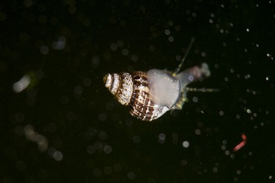 05.jpg