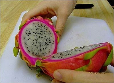 09_dragon_fruit.jpg