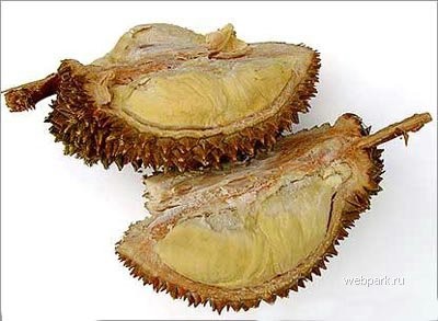 08_durian.jpg