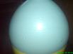 DSC00119-1.JPG