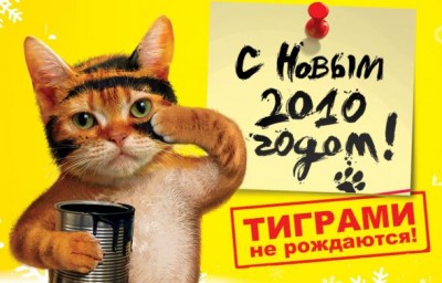 С НГ!.jpg